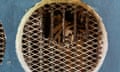 A tiger seen through the rotting grille of its cage, Joya Grande, Honduras.