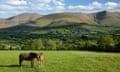 Horse and foal in a field in the foreground with verdant landscape in the background stretching out to a mountain range.