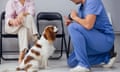 Soon this might be the only staff member left … Employees aren’t happy at the vet’s practice (photo posed by models)